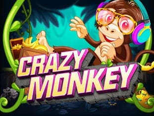Crazy Monkey game screenshot
